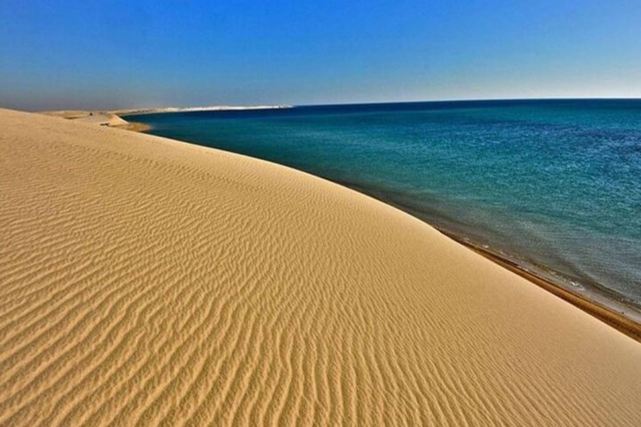 Doha Safari Avventura con trasporto 4WD incluso — 4