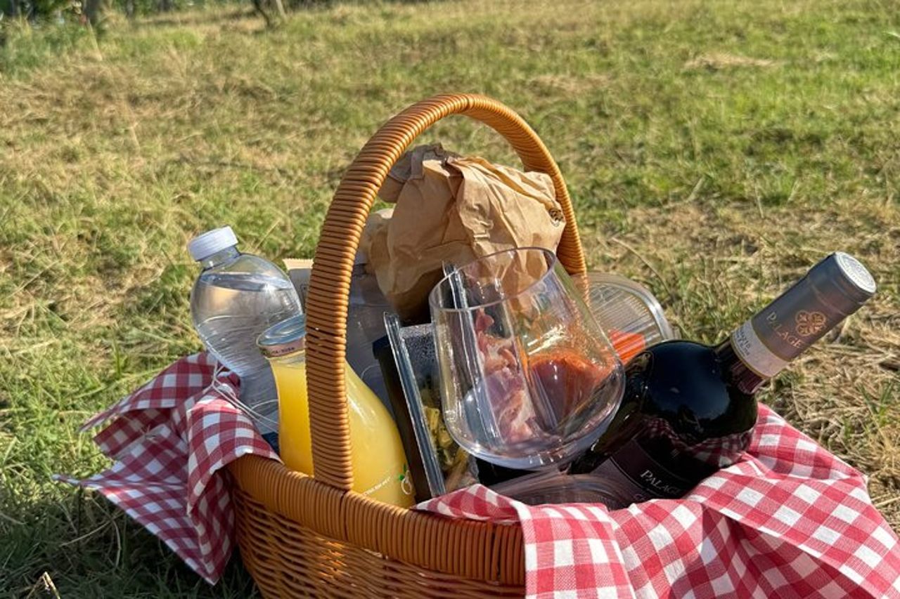 Picnic tra i filari della Vernaccia di San Gimignano — 2