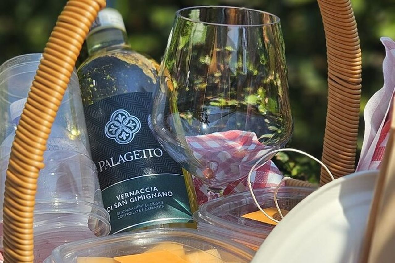 Picnic tra i filari della Vernaccia di San Gimignano — 4