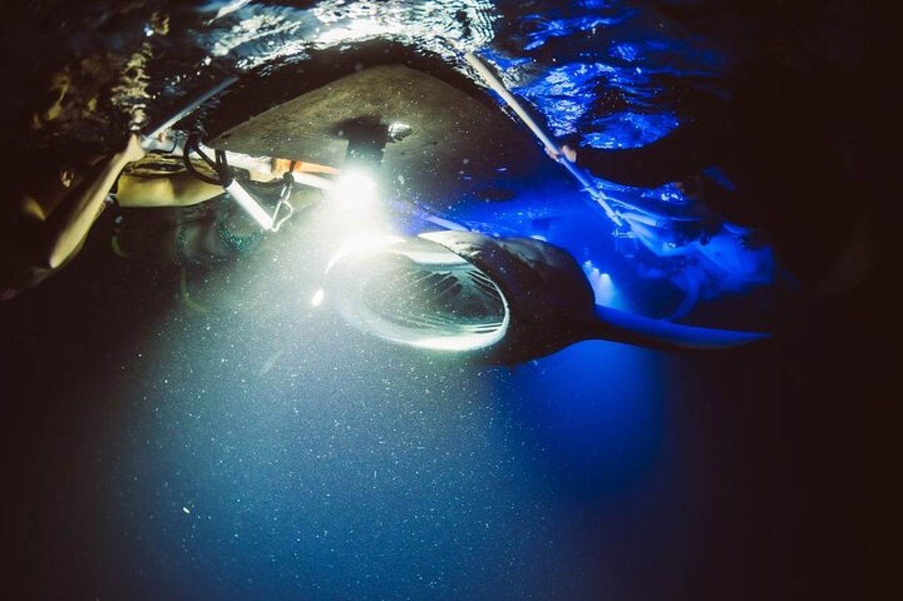 Kona Manta Ray Snorkel Tour : garantito o torna gratis — 5