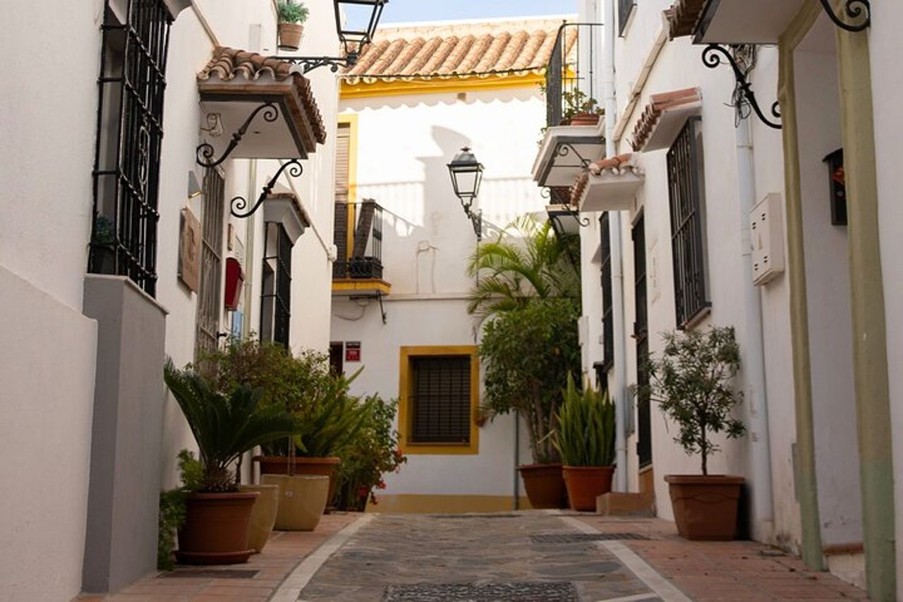 Città vecchia di Marbella: autentico tour gastronomico di tapas con guida locale — 7