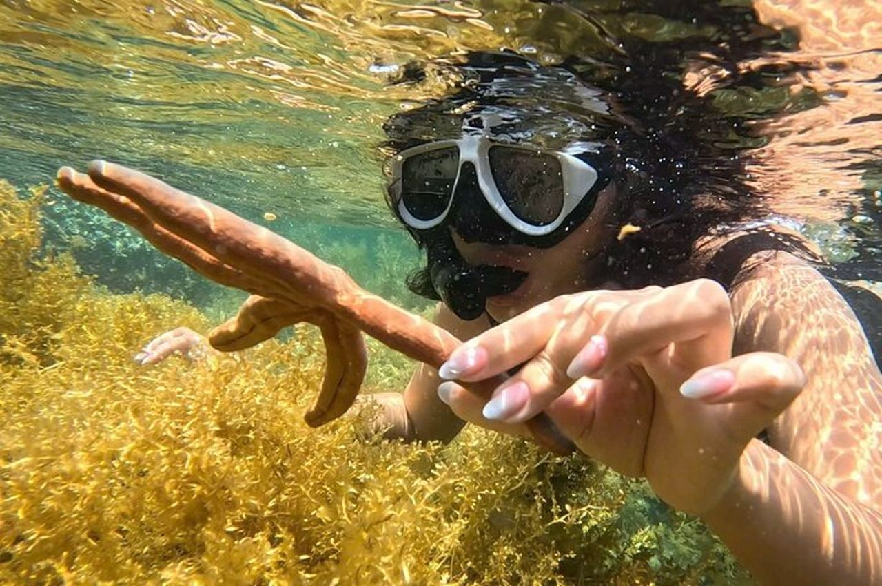 Avventura di snorkeling di mezza giornata a Nha Trang con barbecue a bordo — 3