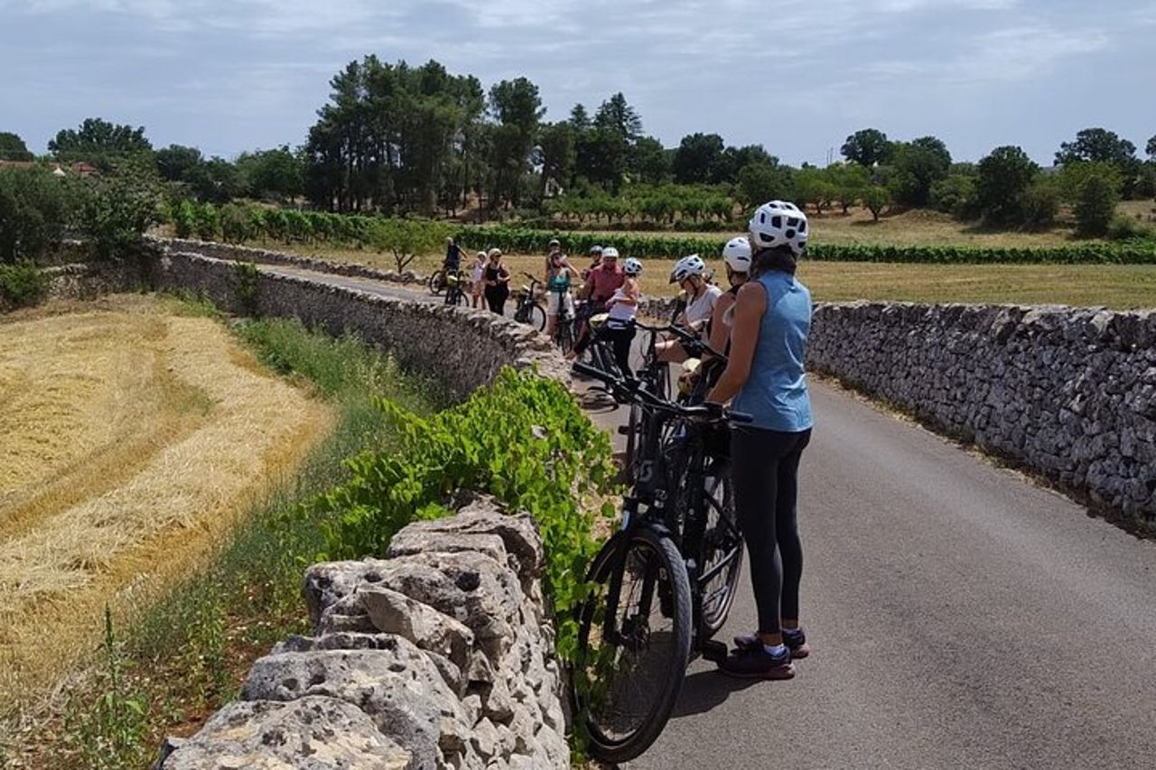Family ebike tour in Valle d'Itria e degustazione prodotti tipici — 6