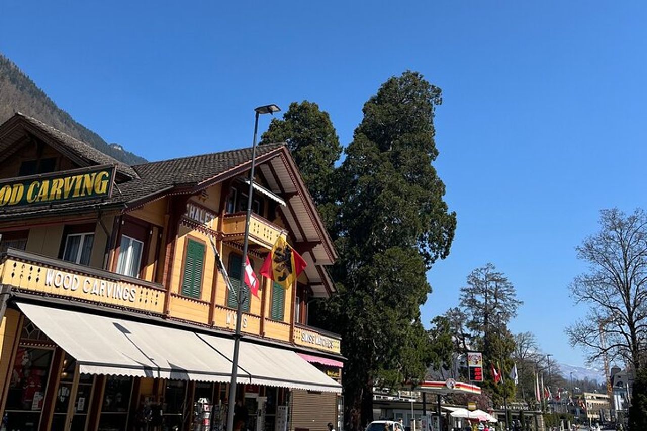 Basilea da o per Interlaken Transfer privato per 1 - 4 passeggeri — 9