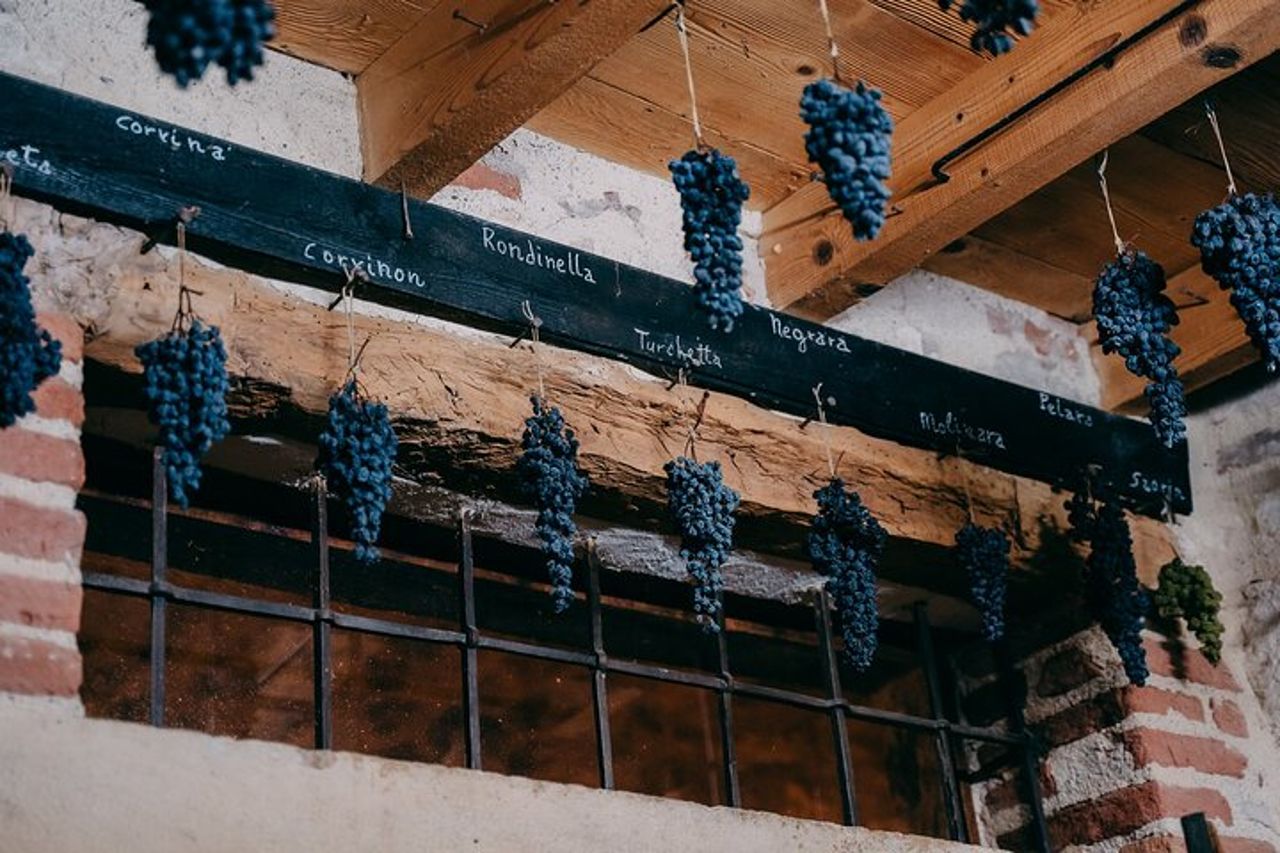 Da Verona alla Valpolicella: 2 degustazioni e viste in cantina — 7