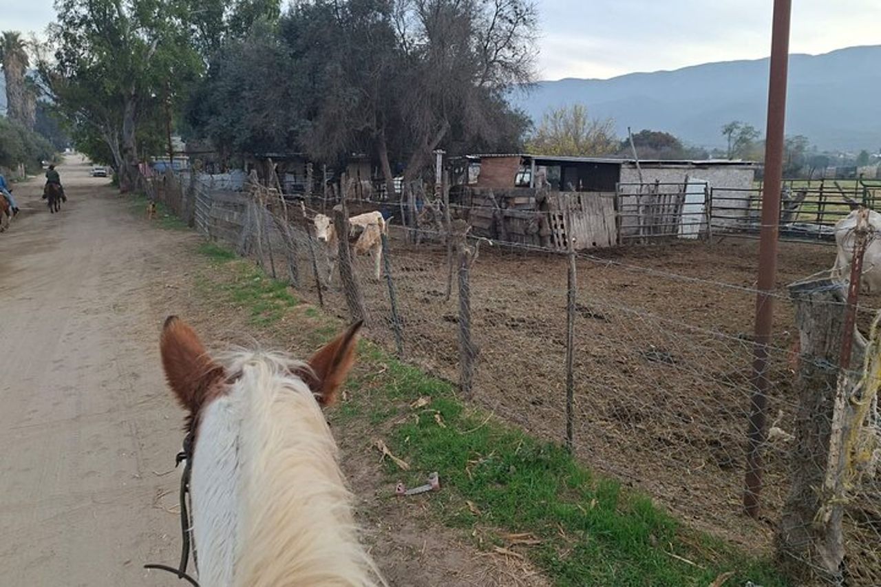 Passeggiata a cavallo e Carne Asada Ranch Experience a Ensenada — 8