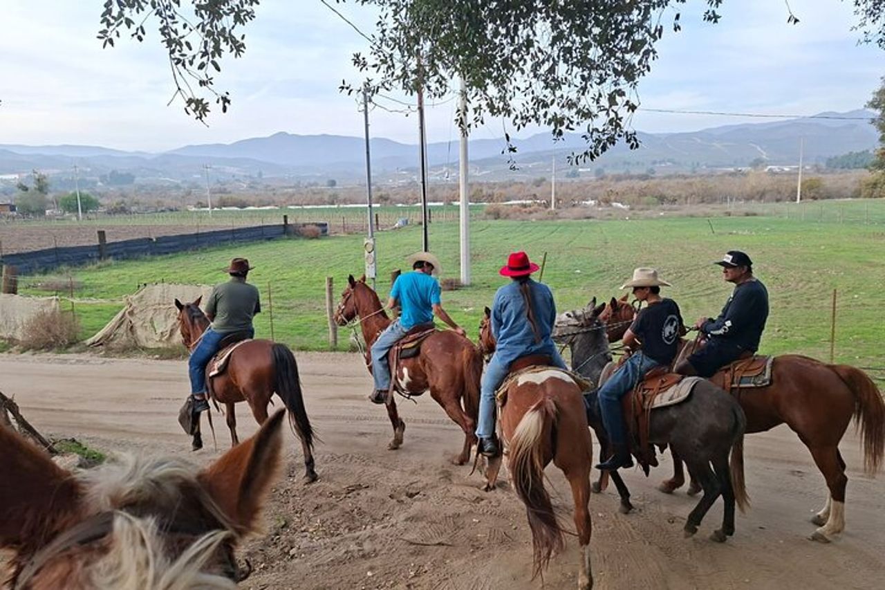 Passeggiata a cavallo e Carne Asada Ranch Experience a Ensenada — 9