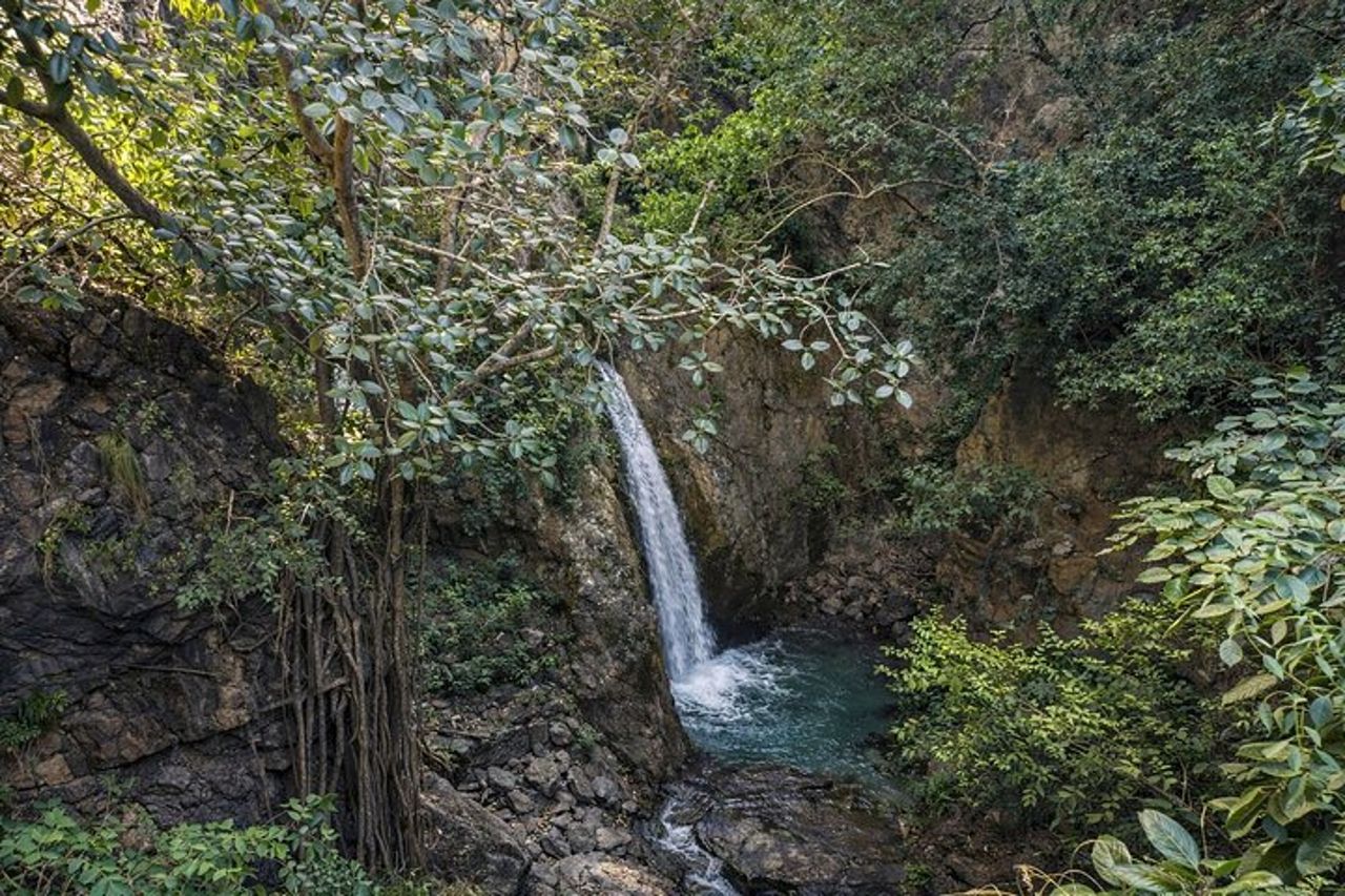 Rishikesh : Escursione di un giorno fuori tempo con meditazione all'interno della grotta Vasishta — 6