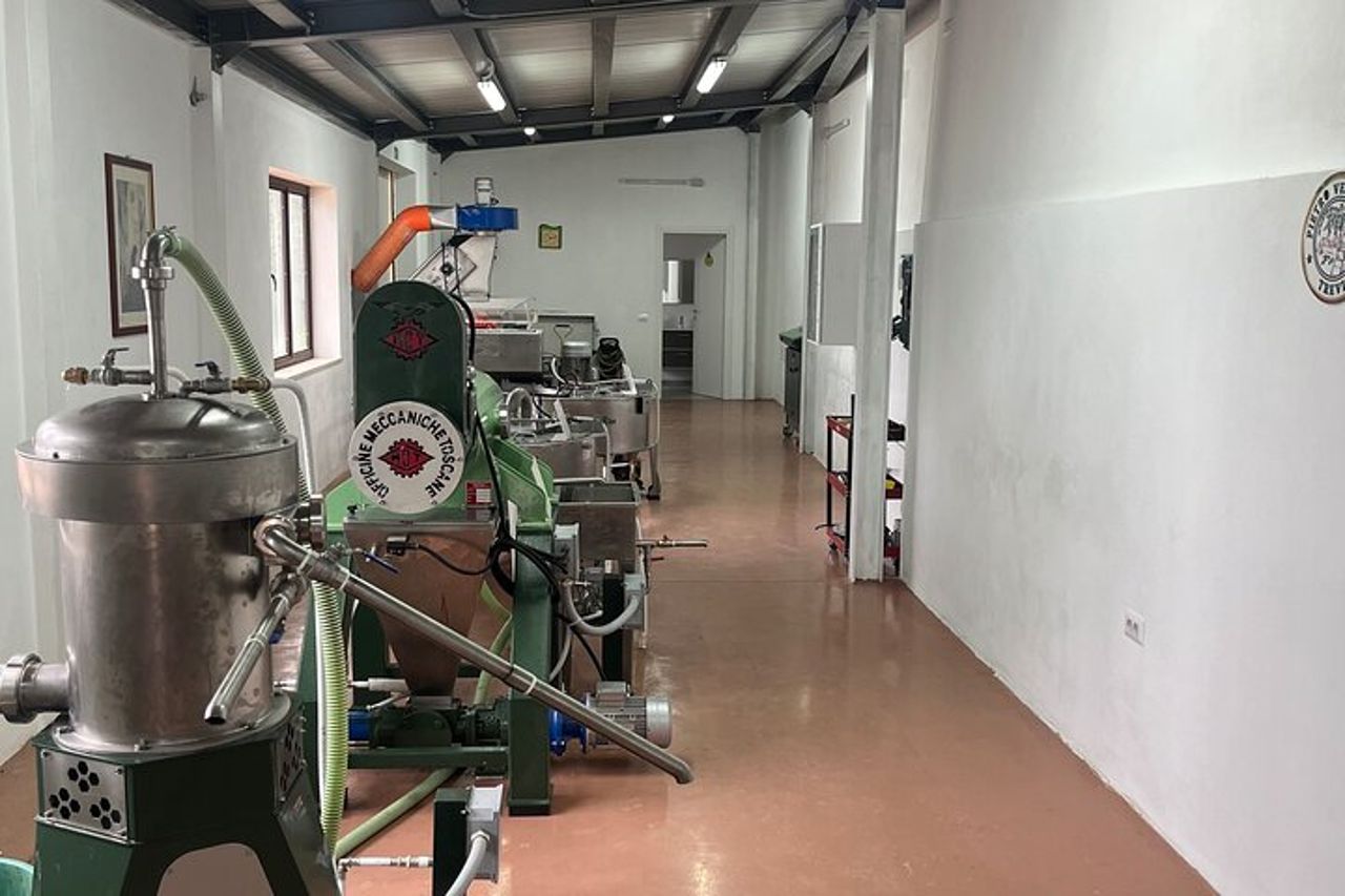 Visita oliveti e frantoio con degustazione olio a Trevi in Umbria — 7