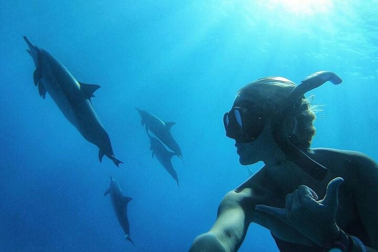 Infermiera Shark e Fulidhoo Stingray Snorkeling Tour da Maschio — 4