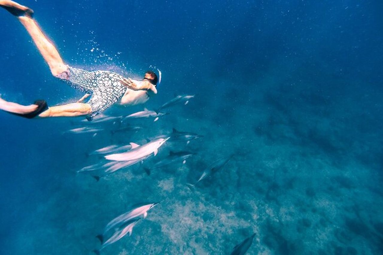 Infermiera Shark e Fulidhoo Stingray Snorkeling Tour da Maschio — 5
