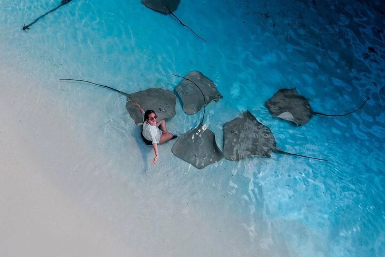Infermiera Shark e Fulidhoo Stingray Snorkeling Tour da Maschio — 6