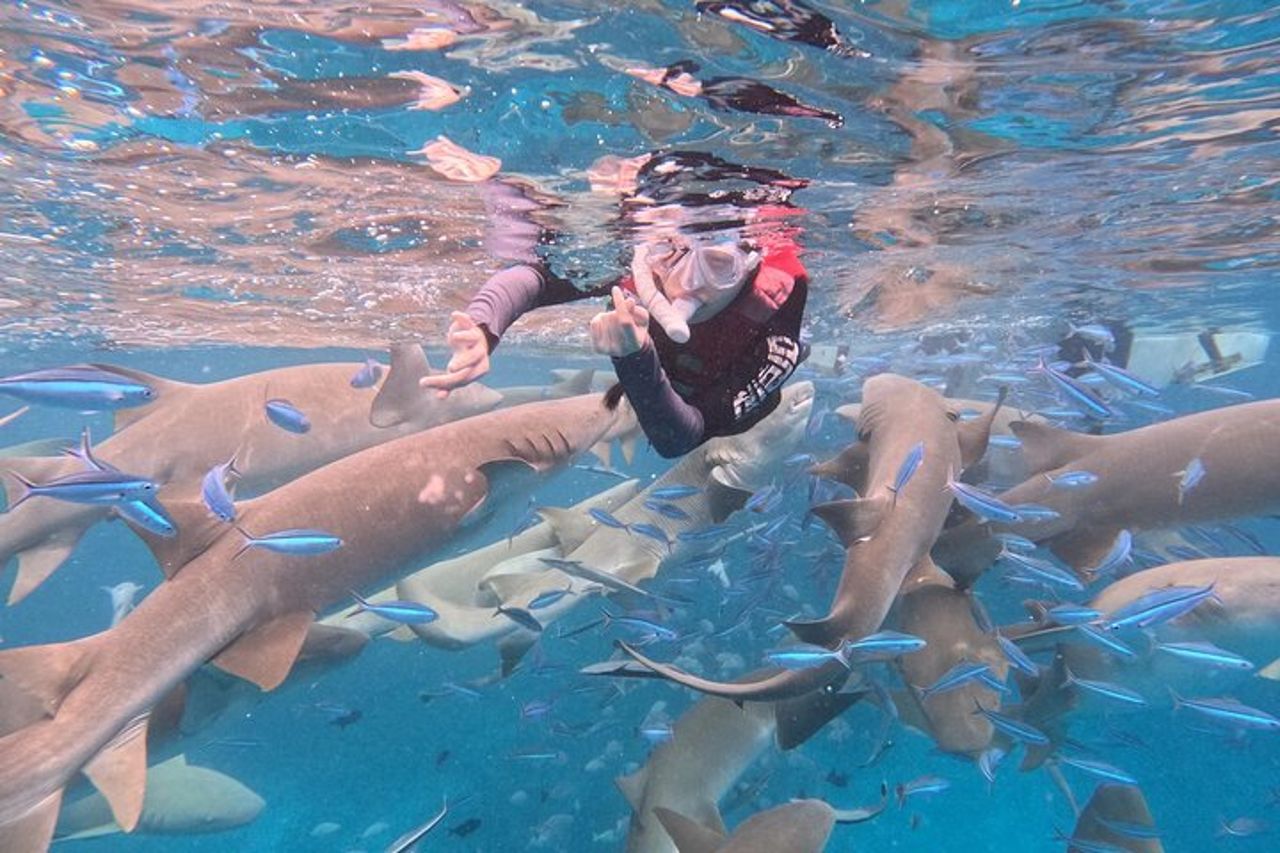 Infermiera Shark e Fulidhoo Stingray Snorkeling Tour da Maschio — 2