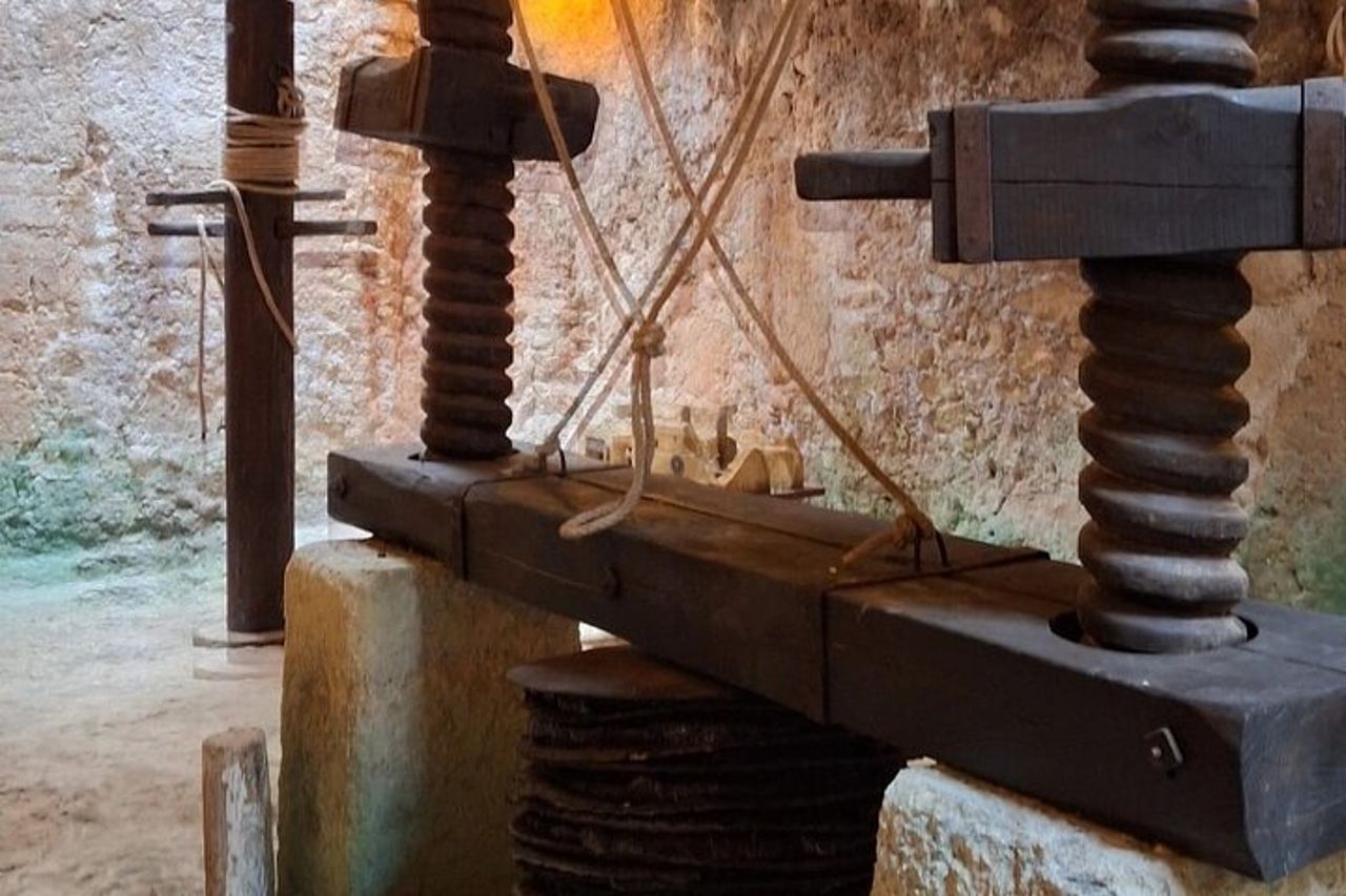 Ostuni: Degustazione di Olio Extra Vergine di Oliva in Masseria — 8