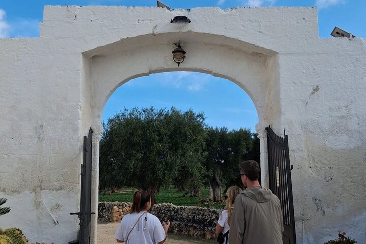 Ostuni: Degustazione di Olio Extra Vergine di Oliva in Masseria — 9