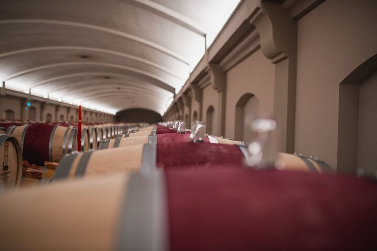 Tour di un giorno del vino di St-Emilion & Médoc: castelli, degustazioni e pranzo — 5