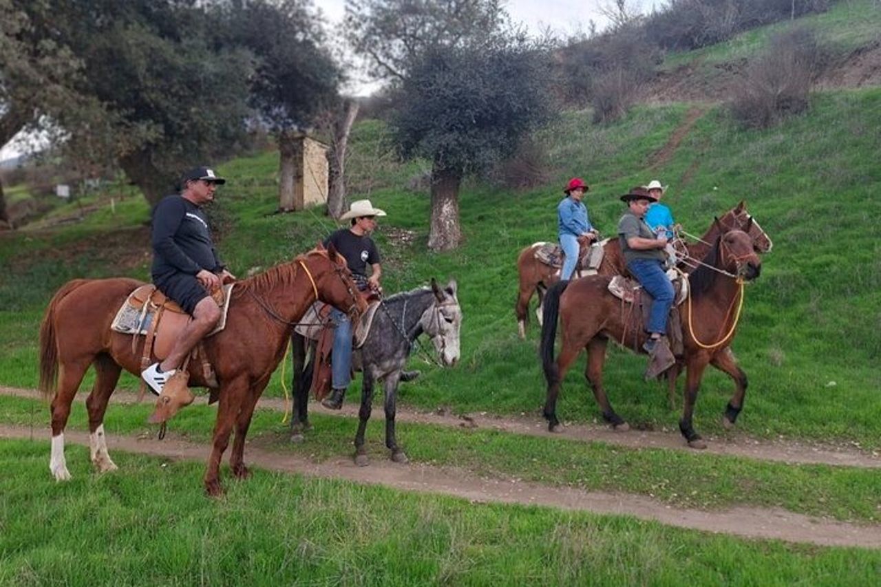 Passeggiata a cavallo e Carne Asada Ranch Experience a Ensenada — 3