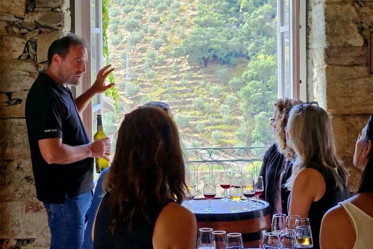 Tour per piccoli gruppi della Valle del Douro: 4 tenute, degustazione di vino e olio d'oliva — 5