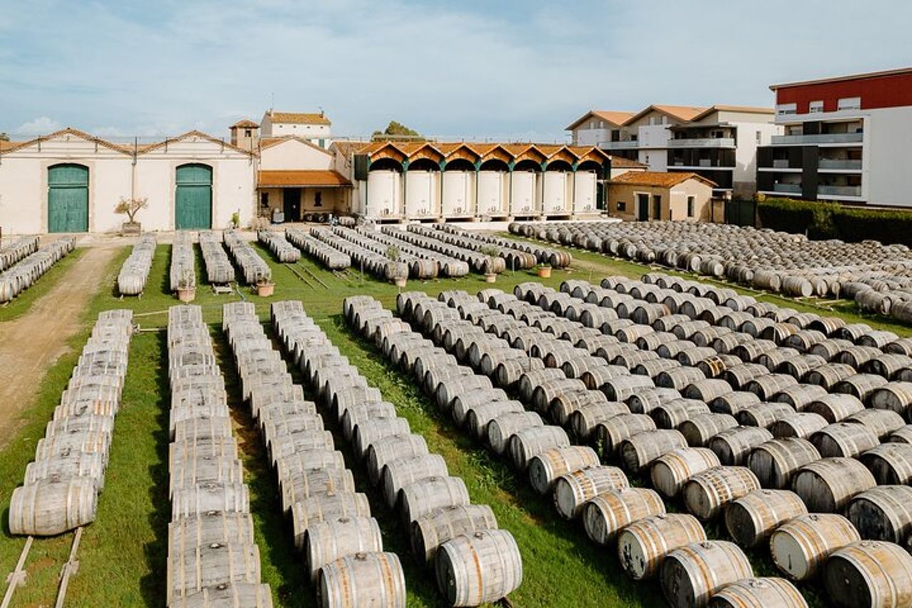MARSIGLIA : Maison Noilly Prat, visita delle cantine e degustazione Francese — 2