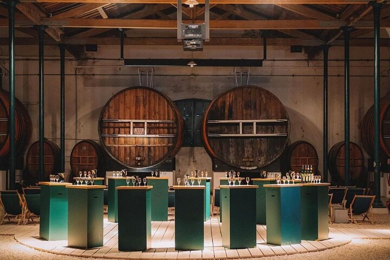 MARSIGLIA : Maison Noilly Prat, visita delle cantine e degustazione Francese