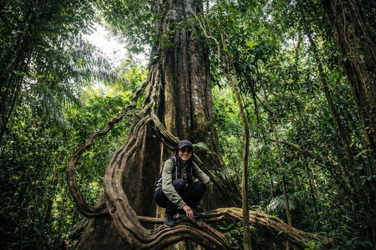 Amazon Wildlife & Jungle Lodge Tour – 2 giorni da Iquitos — 5