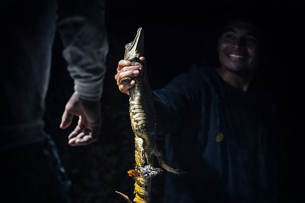 Amazon Wildlife & Jungle Lodge Tour – 2 giorni da Iquitos — 7