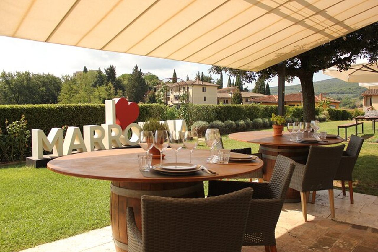 Pranzo al tartufo ed esperienza di caccia a San Gimignano — 9