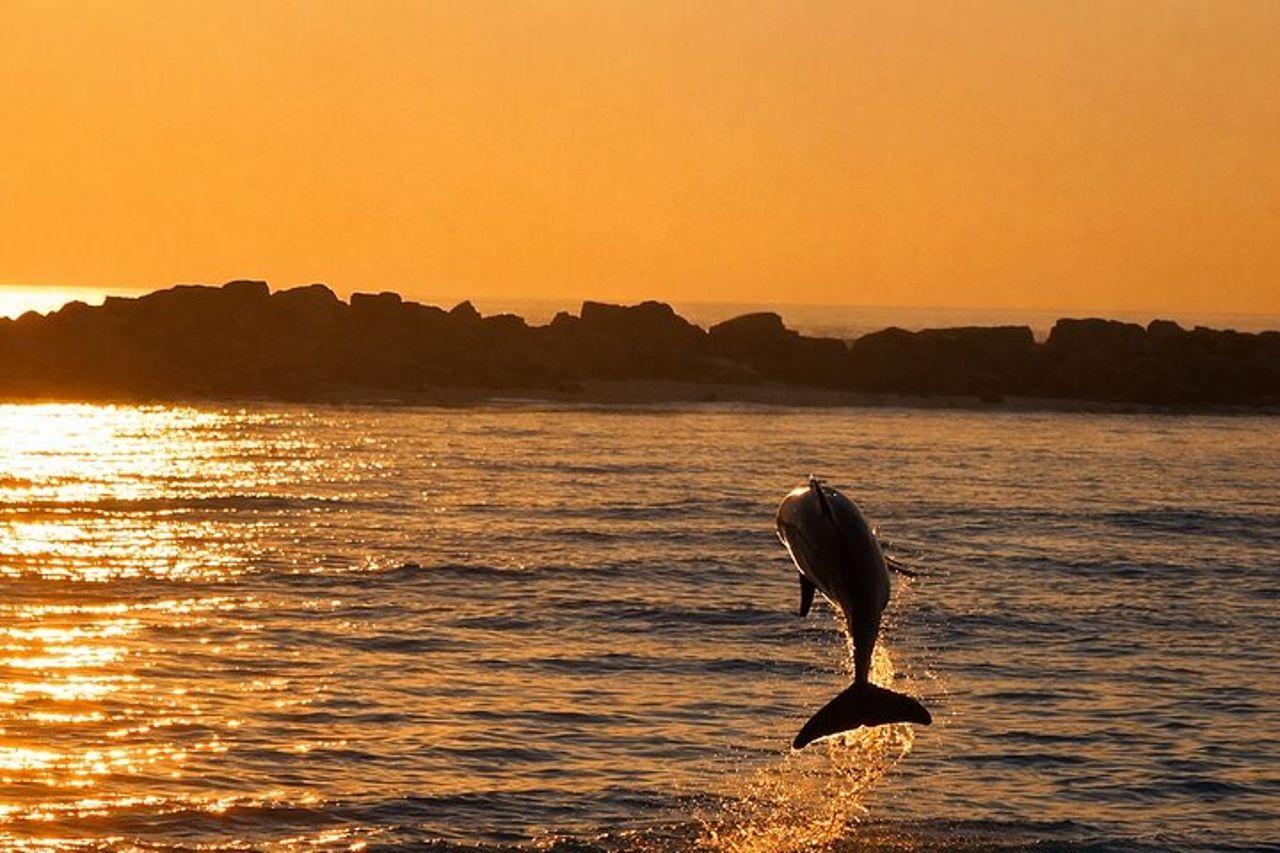 Destin Dolphin Cruise — 9