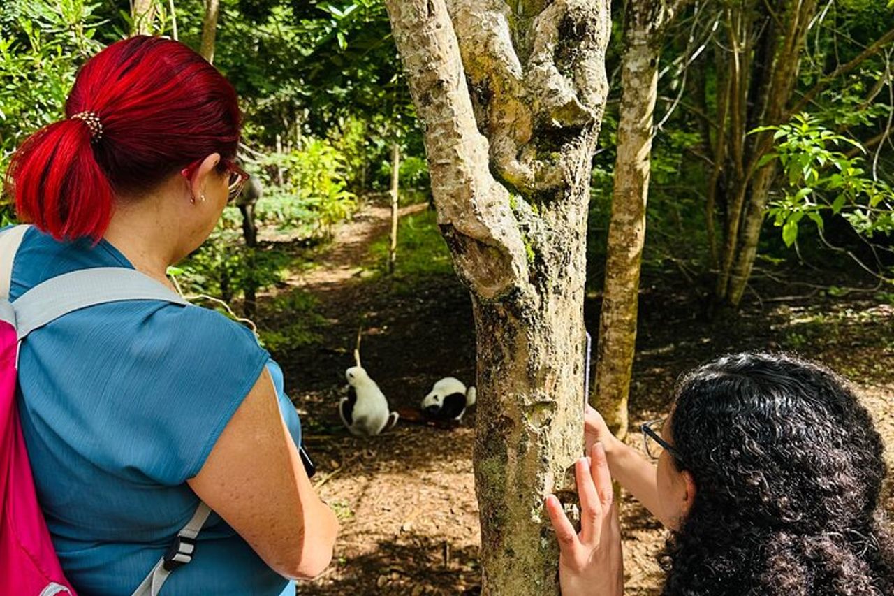Tour di un'intera giornata in Madagascar con parco dei Lemuri, geyser e cascata — 6