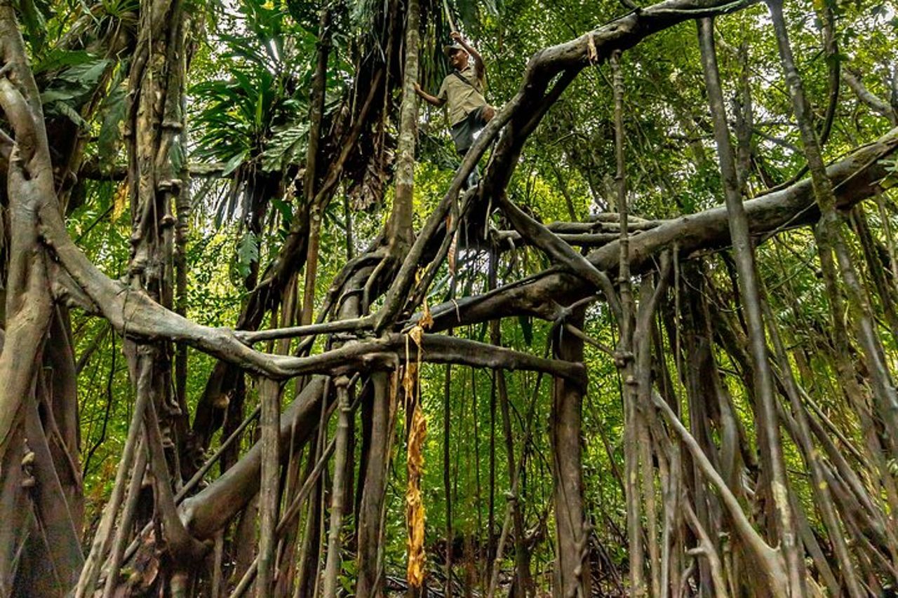 Amazon Wildlife Tours Lodge Soggiorno 3 giorni 2 notti — 8