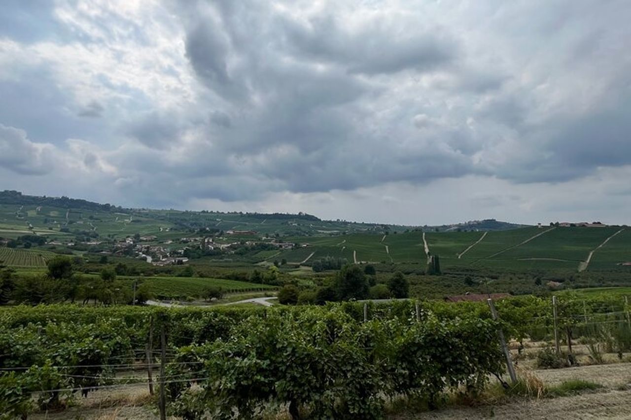 Monforte d’Alba: esperienza di Vino e Formaggi piemontesi — 4