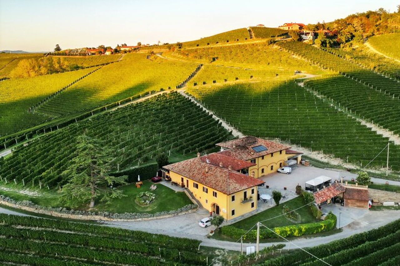 Monforte d’Alba: esperienza di Vino e Formaggi piemontesi — 6