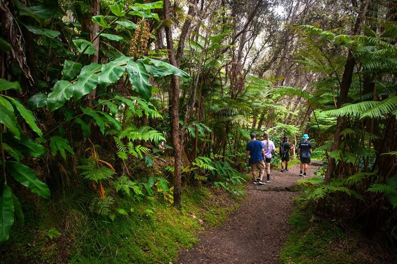 Parco Nazionale dei Vulcani delle Hawai'i : Vulcano Experience & Connection — 2