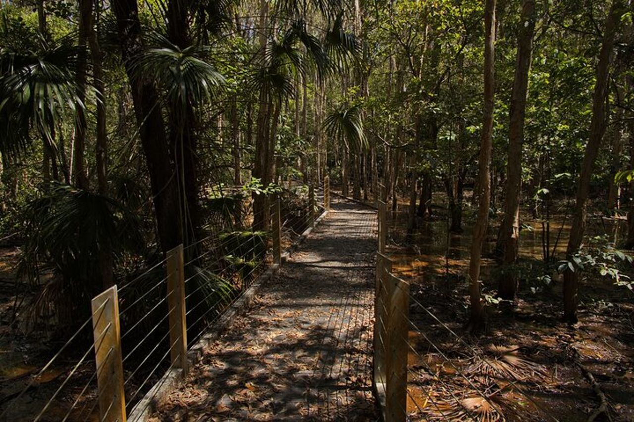 Darwin Private Shore Tour: Safari con coccodrillo selvatico e diga di Fogg — 5
