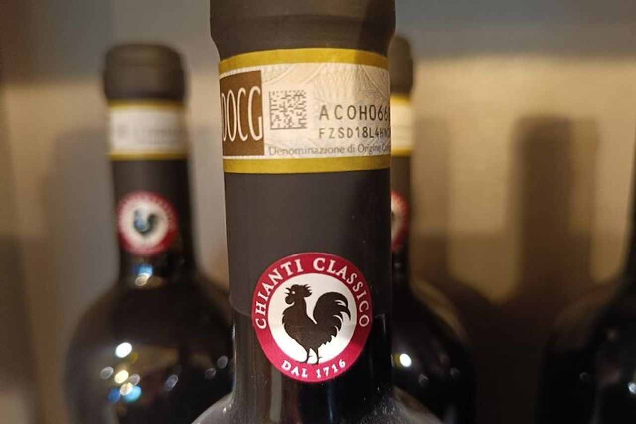 "Passeggiata per le dolci colline del Chianti" con pranzo e 2 degustazioni di vini — 3