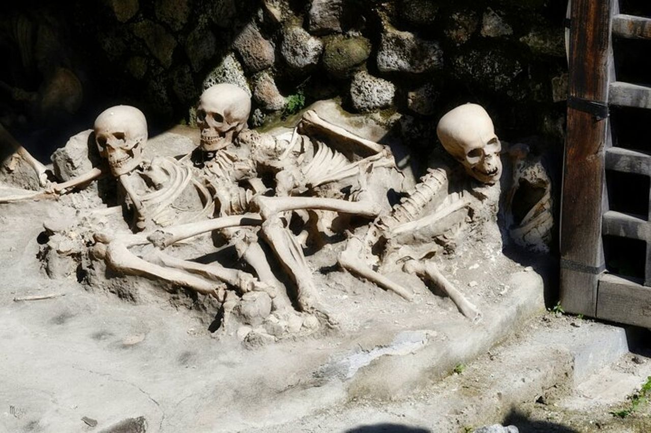 Pompei, Ercolano, Vesuvio Degustazione e Pranzo da Salerno — 7