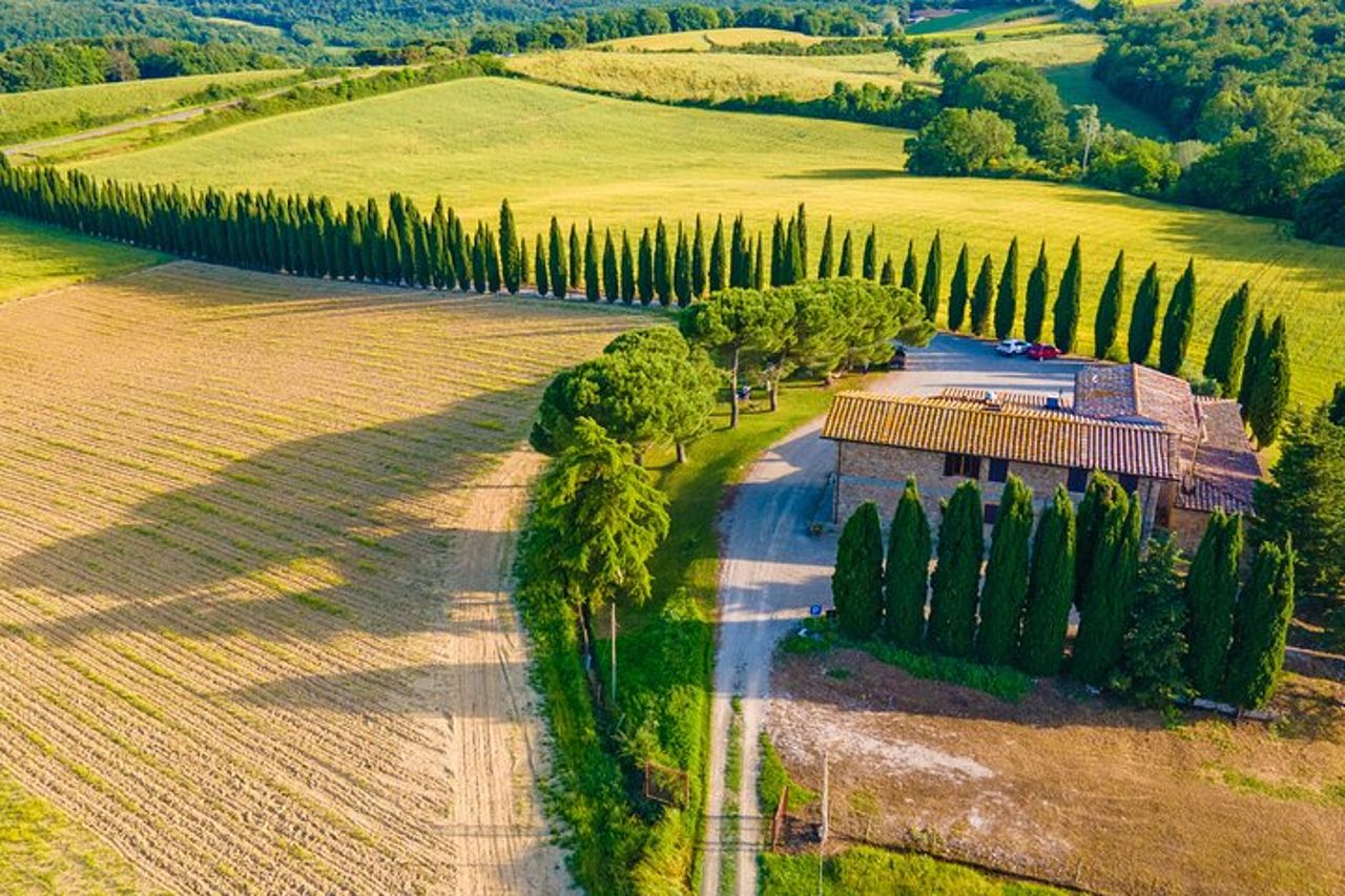 San Gimignano degustazione vini Essenza Toscana — 3