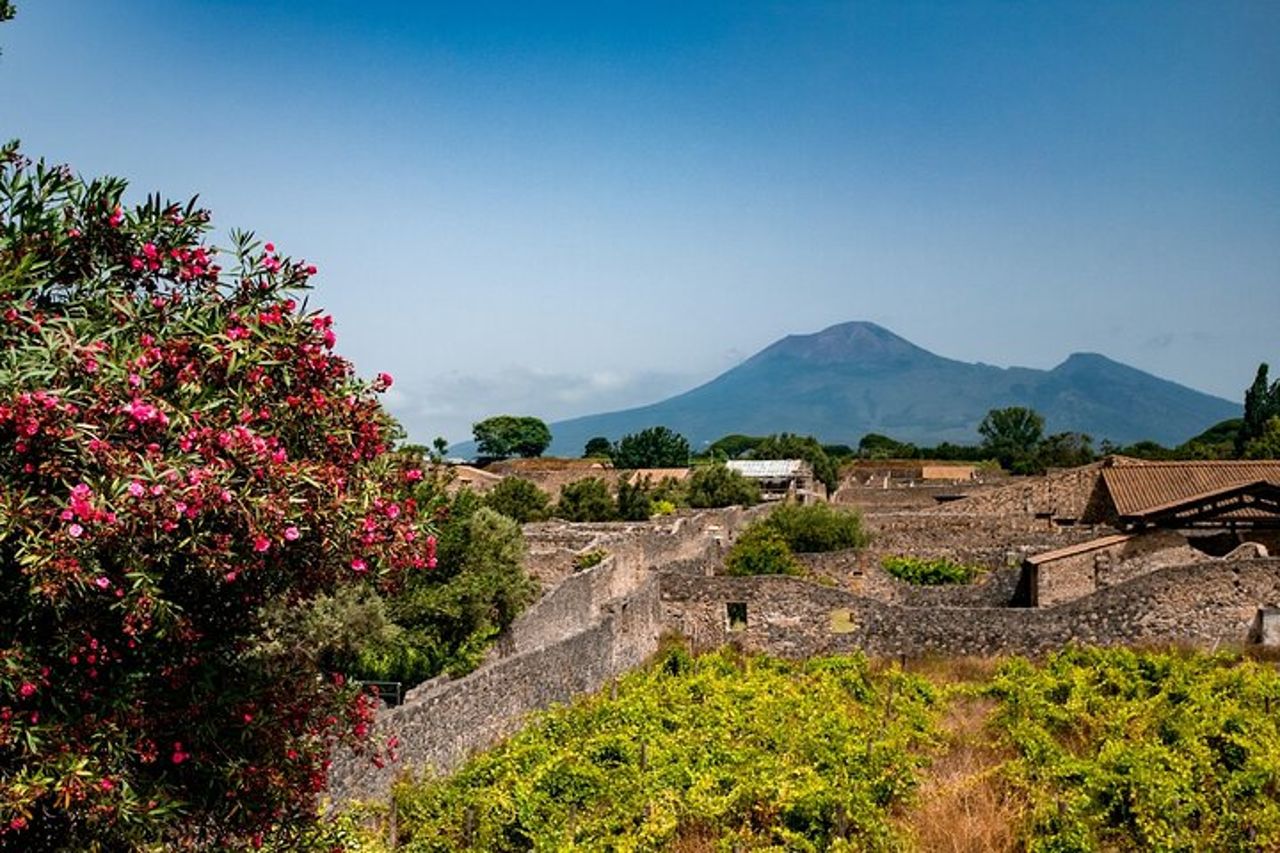 Pompei, Ercolano, Vesuvio Degustazione e Pranzo da Salerno — 8