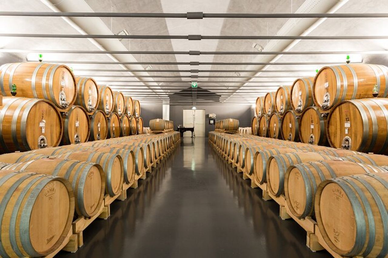 Wine lovers experience in Montepulciano: full day — 7