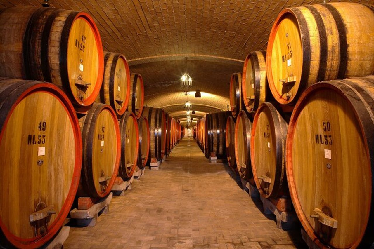 Wine lovers experience in Montepulciano: full day — 3