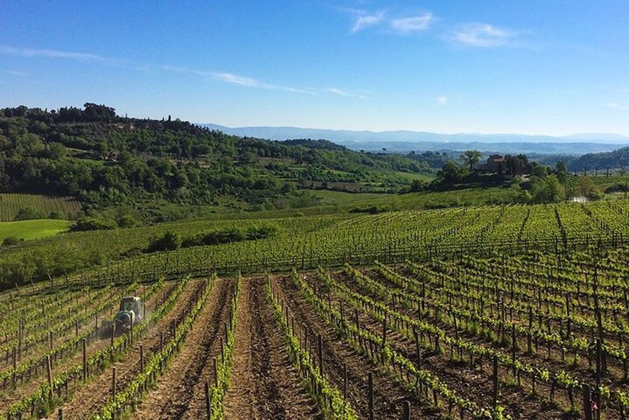 Wine lovers experience in Montepulciano: full day — 5