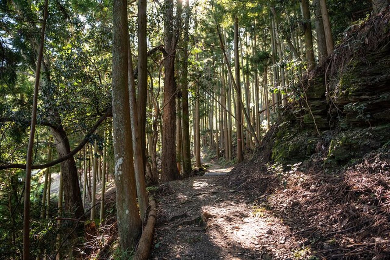 Tour a piedi di Yoshino Cherry Blossom con visita al tempio — 2