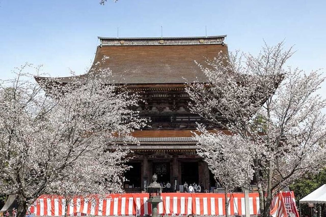 Tour a piedi di Yoshino Cherry Blossom con visita al tempio — 3