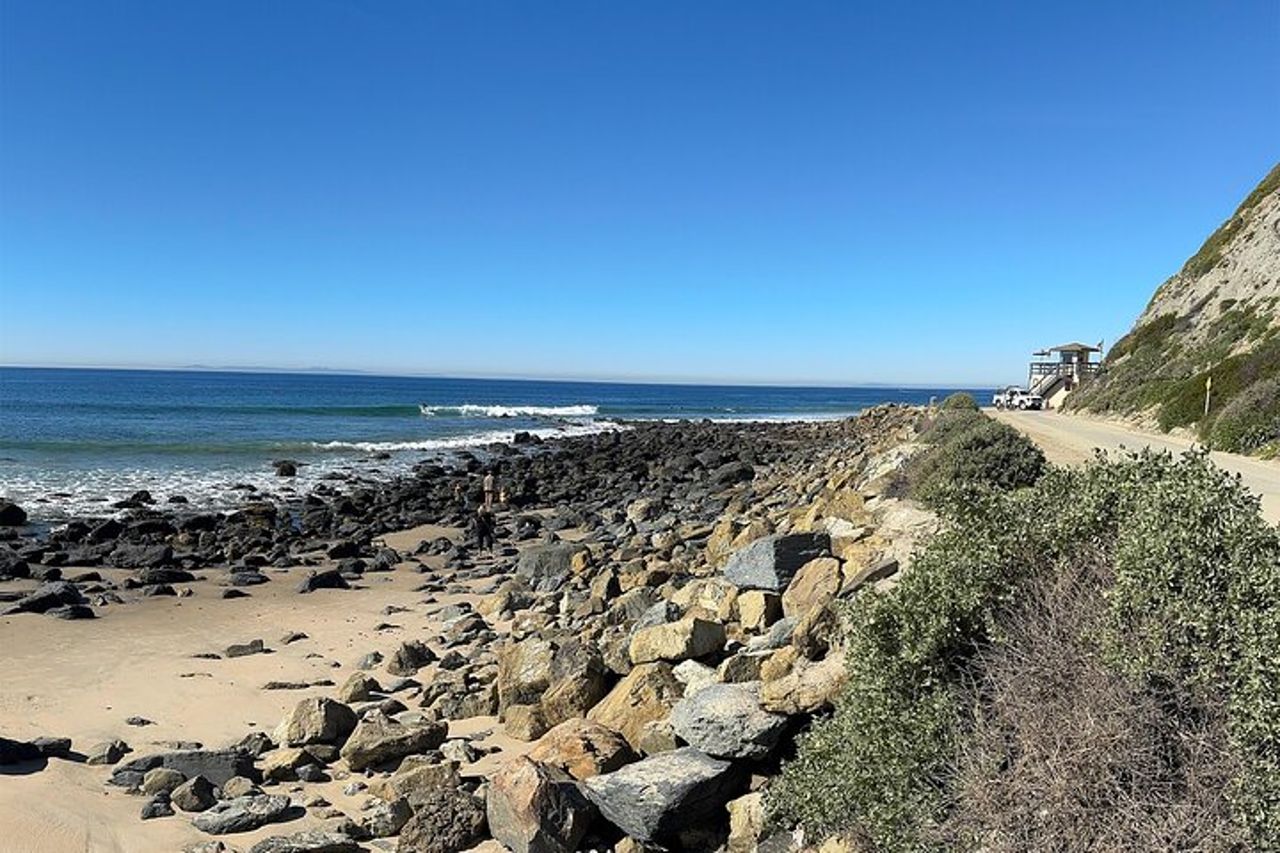 Escursione costiera guidata ed ecologia a Dana Point — 2