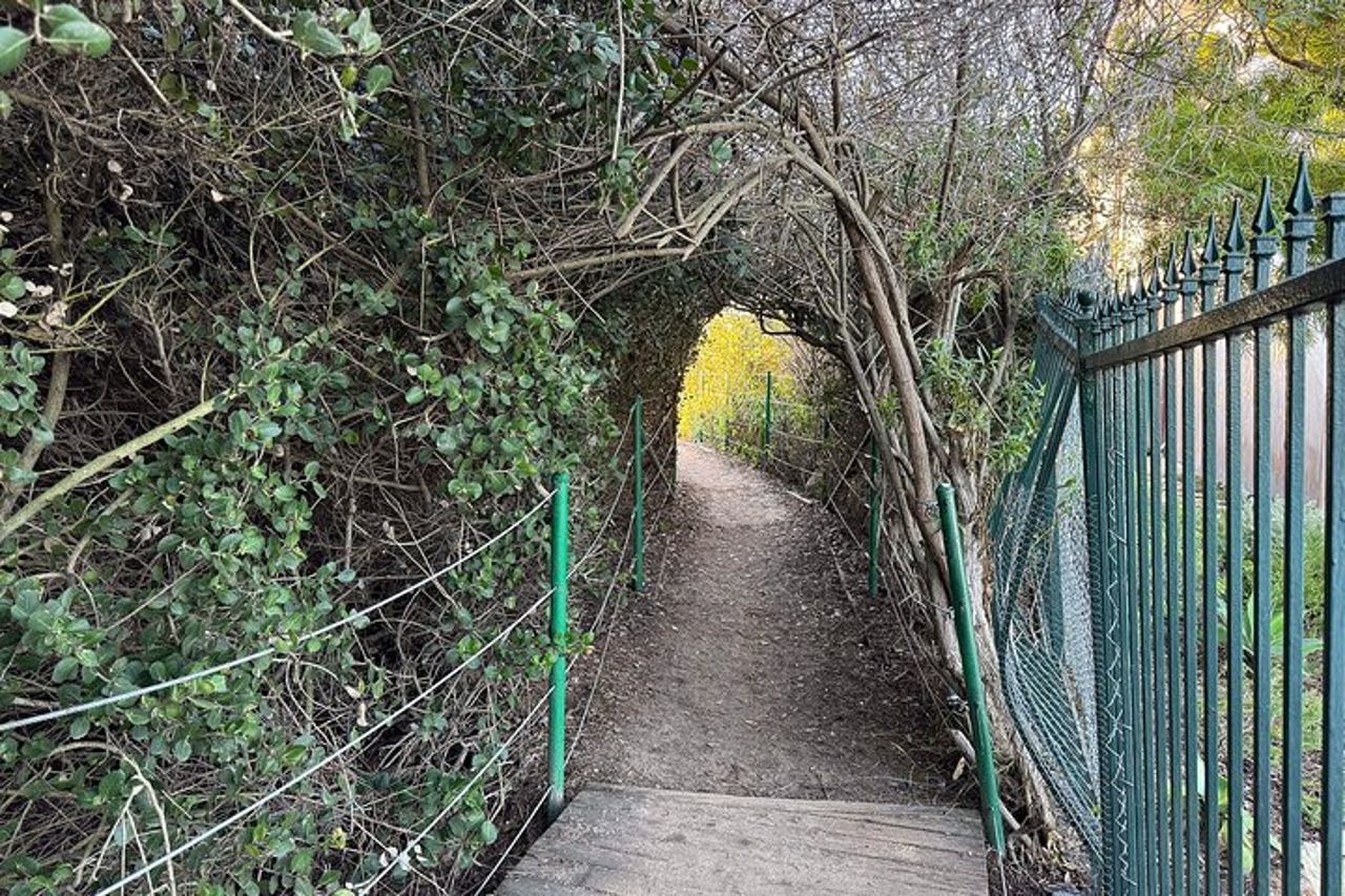 Escursione costiera guidata ed ecologia a Dana Point — 4