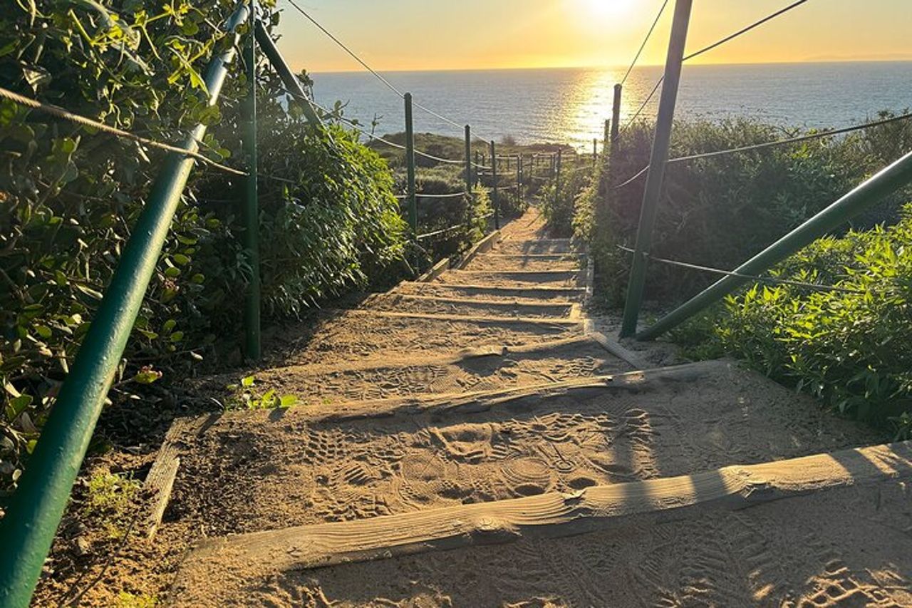 Escursione costiera guidata ed ecologia a Dana Point — 6