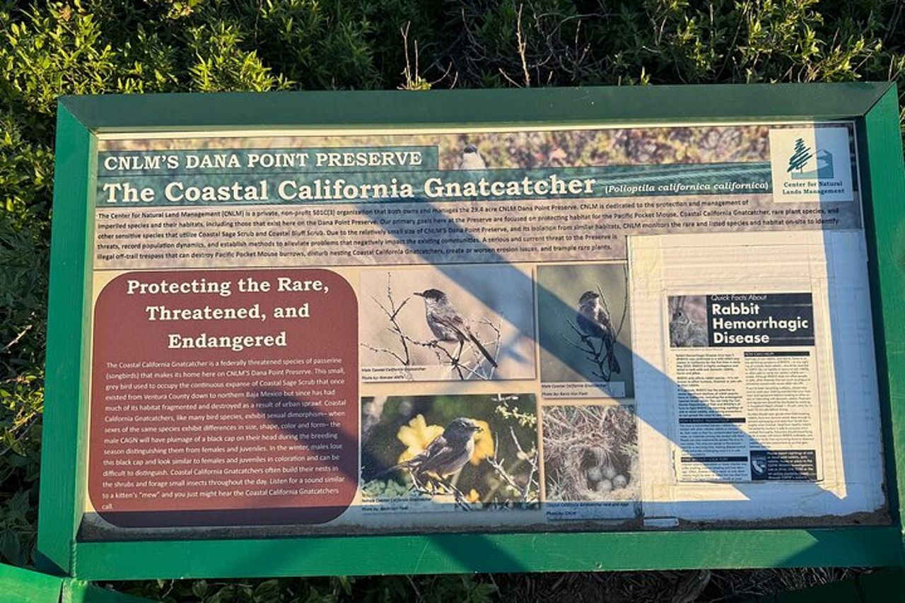 Escursione costiera guidata ed ecologia a Dana Point — 7