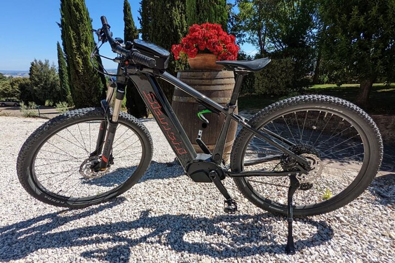 Noleggio bicicletta elettrica e Gravel a Montalcino — 4