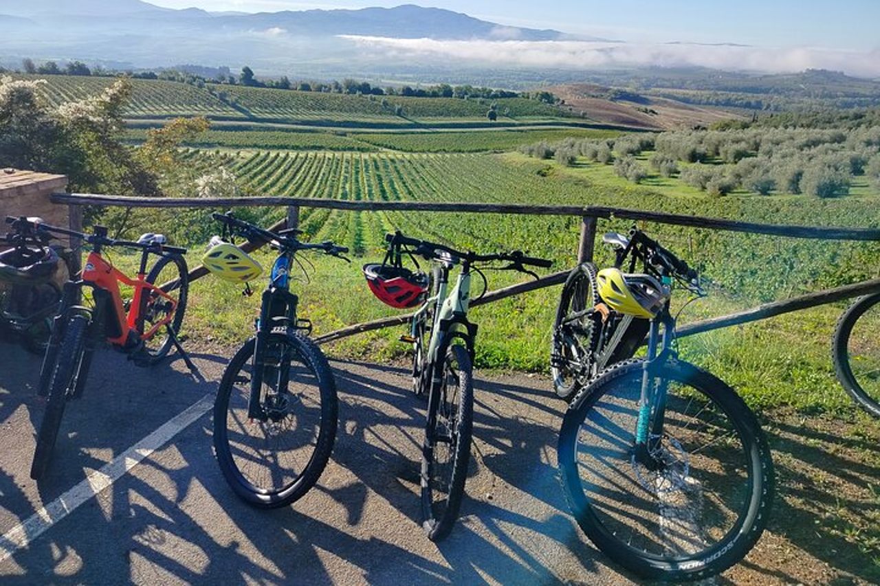 Noleggio bicicletta elettrica e Gravel a Montalcino — 5