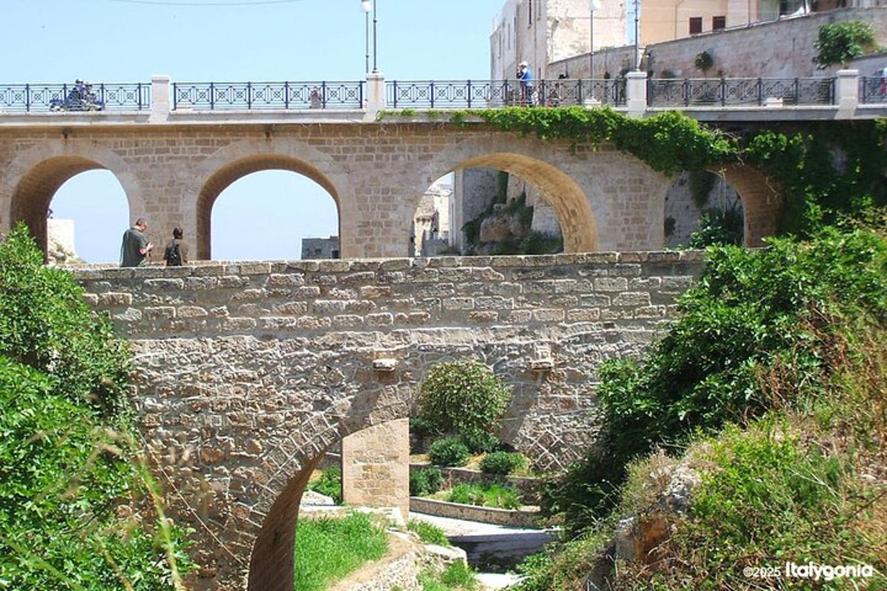 Polignano a Mare : tour privato a piedi e vista sulla scogliera — 4